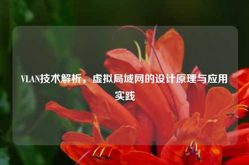 VLAN技术解析,虚拟局域网的设计原理与应用实践