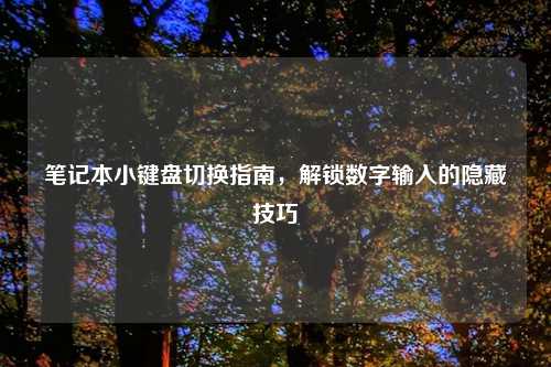 笔记本小键盘切换指南,解锁数字输入的隐藏技巧