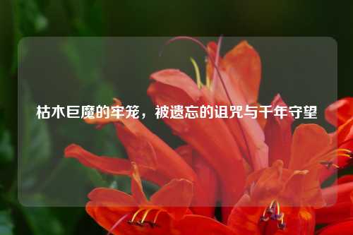 枯木巨魔的牢笼,被遗忘的诅咒与千年守望