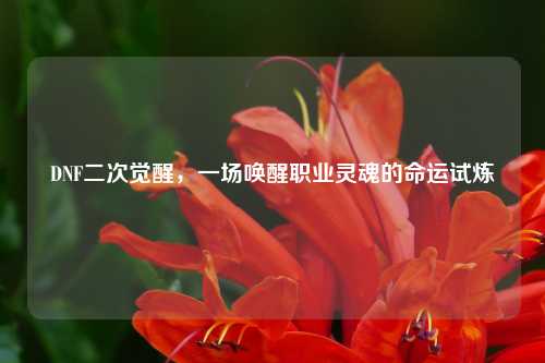 DNF二次觉醒，一场唤醒职业灵魂的命运试炼