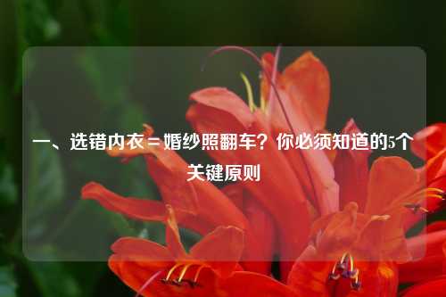 一、选错内衣=婚纱照翻车?你必须知道的5个关键原则