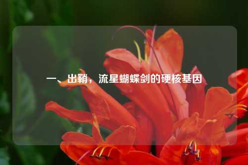 一、出鞘，流星蝴蝶剑的硬核基因