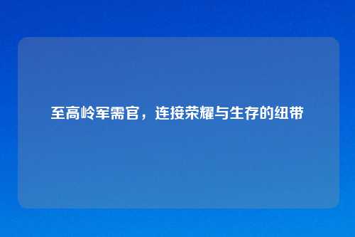 至高岭军需官，连接荣耀与生存的纽带