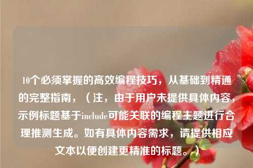 10个必须掌握的高效编程技巧,从基础到精通的完整指南,(注,由于用户未提供具体内容,示例标题基于include可能关联的编程主题进行合理推测生成。如有具体内容需求,请提供相应文本以便创建更精准的标题。)