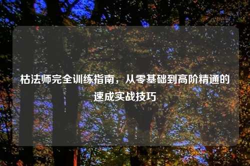 枯法师完全训练指南，从零基础到高阶精通的速成实战技巧