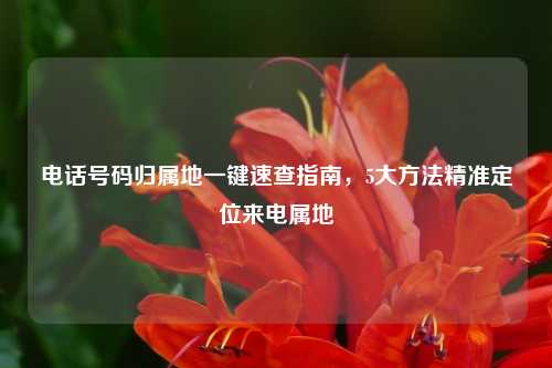 电话号码归属地一键速查指南，5大方法精准定位来电属地