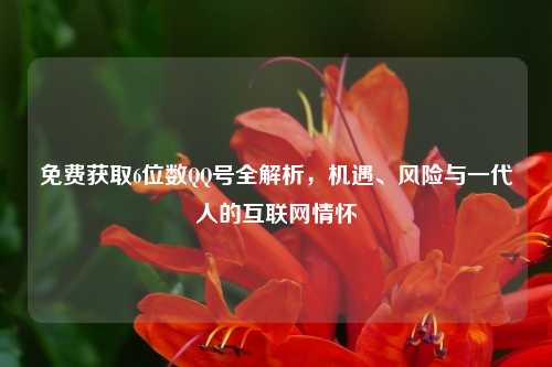 免费获取6位数QQ号全解析，机遇、风险与一代人的互联网情怀