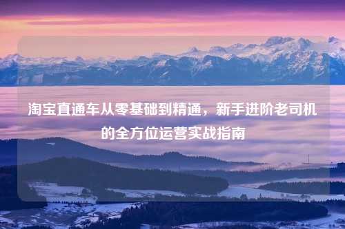 淘宝直通车从零基础到精通，新手进阶老司机的全方位运营实战指南