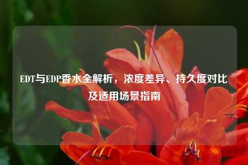EDT与EDP香水全解析，浓度差异、持久度对比及适用场景指南