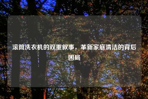 滚筒洗衣机的双重叙事，革新家庭清洁的背后困局