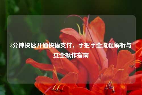 3分钟快速开通快捷支付，手把手全流程解析与安全操作指南