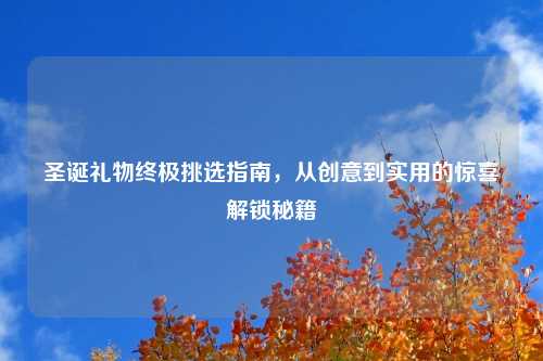 圣诞礼物终极挑选指南，从创意到实用的惊喜解锁秘籍
