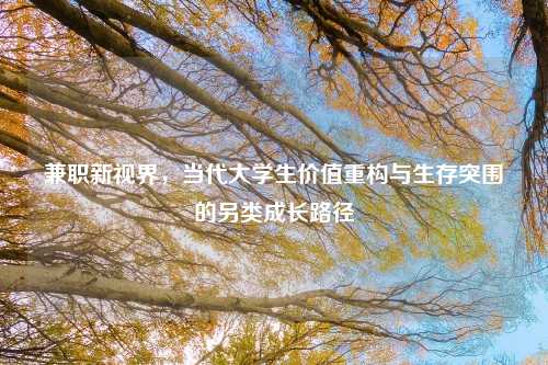 兼职新视界,当代大学生价值重构与生存突围的另类成长路径