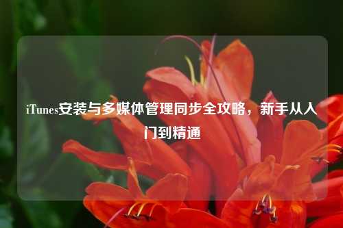 iTunes安装与多媒体管理同步全攻略，新手从入门到精通