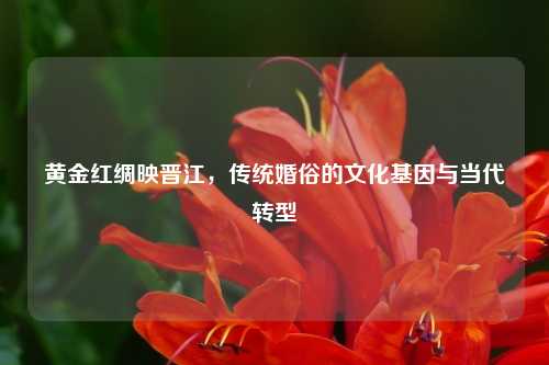 黄金红绸映晋江,传统婚俗的文化基因与当代转型