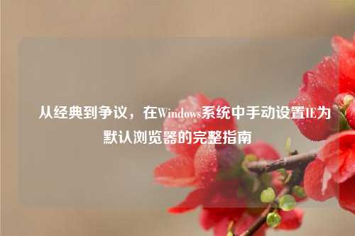✍从经典到争议，在Windows系统中手动设置IE为默认浏览器的完整指南