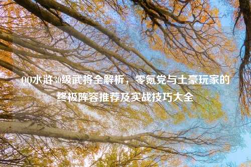 QQ水浒30级武将全解析，零氪党与土豪玩家的终极阵容推荐及实战技巧大全