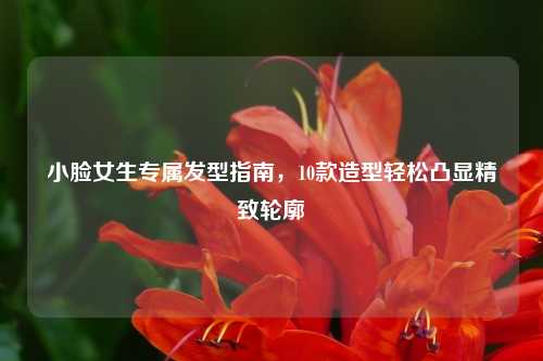 小脸女生专属发型指南,10款造型轻松凸显精致轮廓