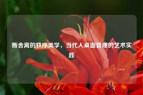 断舍离的秩序美学，当代人桌面管理的艺术实践