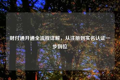 财付通开通全流程详解，从注册到实名认证一步到位