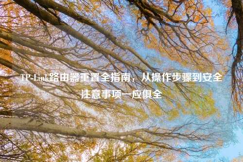 TP-Link路由器重置全指南，从操作步骤到安全注意事项一应俱全
