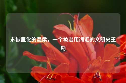 未被量化的温柔，一个被滥用词汇的文明史重勘