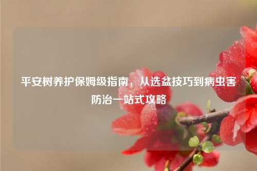 平安树养护保姆级指南,从选盆技巧到病虫害防治一站式攻略