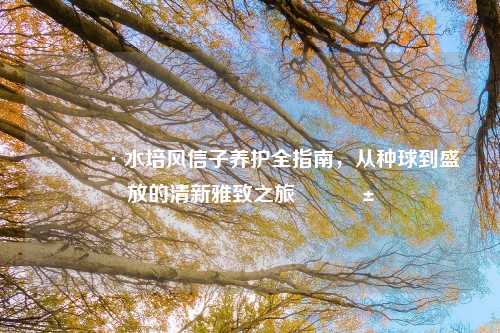 🌷水培风信子养护全指南，从种球到盛放的清新雅致之旅🌱