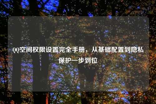 QQ空间权限设置完全手册,从基础配置到隐私保护一步到位