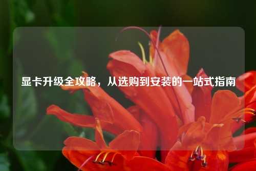 显卡升级全攻略，从选购到安装的一站式指南