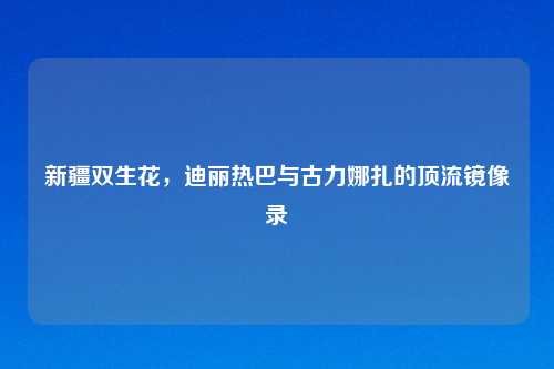 新疆双生花，迪丽热巴与古力娜扎的顶流镜像录