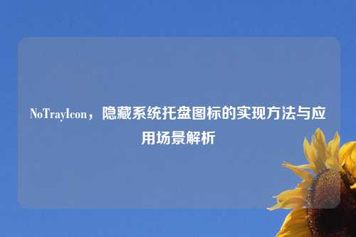 NoTrayIcon，隐藏系统托盘图标的实现方法与应用场景解析