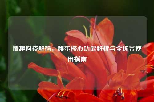 情趣科技解码,跳蛋核心功能解析与全场景使用指南