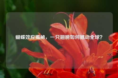 蝴蝶效应揭秘，一只翅膀如何撼动全球？