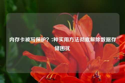 内存卡被写保护？7种实用方法彻底解除数据存储困扰