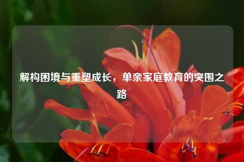 解构困境与重塑成长，单亲家庭教育的突围之路