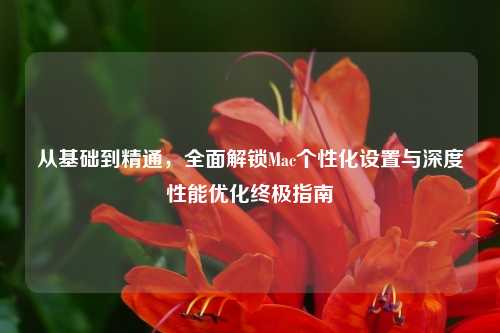 从基础到精通,全面解锁Mac个性化设置与深度性能优化终极指南