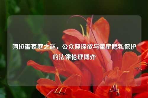 阿拉蕾家庭之谜，公众窥探欲与童星隐私保护的法律伦理博弈