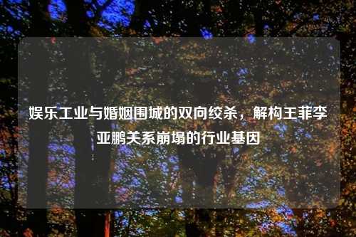 娱乐工业与婚姻围城的双向绞杀,解构王菲李亚鹏关系崩塌的行业基因