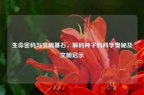 生命密码与文明基石,解码种子的科学奥秘及文明启示
