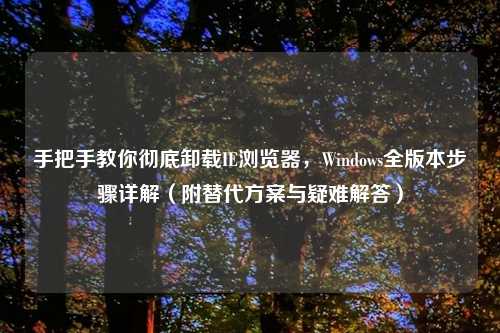 手把手教你彻底卸载IE浏览器,Windows全版本步骤详解(附替代方案与疑难解答)
