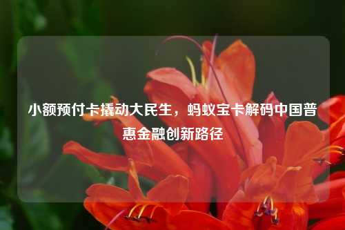 小额预付卡撬动大民生，蚂蚁宝卡解码中国普惠金融创新路径