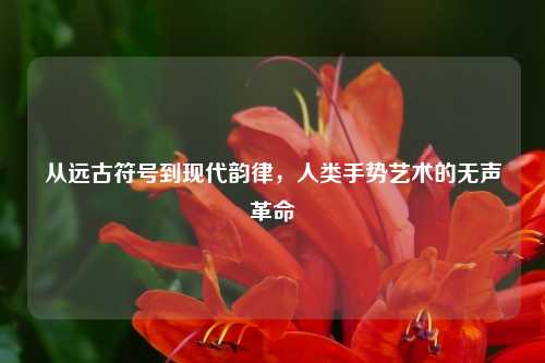 从远古符号到现代韵律，人类手势艺术的无声革命