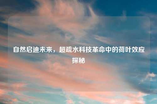 自然启迪未来,超疏水科技革命中的荷叶效应探秘