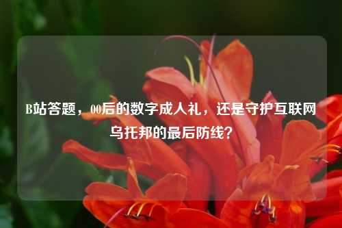 B站答题,00后的数字成人礼,还是守护互联网乌托邦的最后防线?