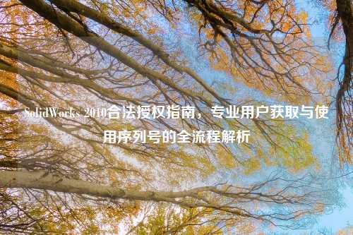 SolidWorks 2010合法授权指南,专业用户获取与使用序列号的全流程解析