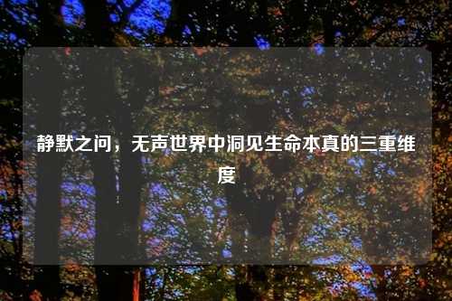 静默之问，无声世界中洞见生命本真的三重维度