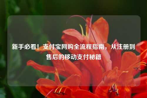 新手必看！支付宝网购全流程指南，从注册到售后的移动支付秘籍