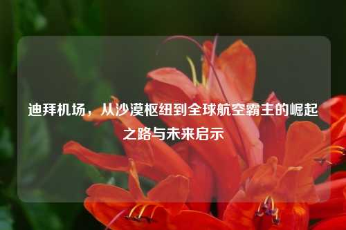 迪拜机场,从沙漠枢纽到全球航空霸主的崛起之路与未来启示