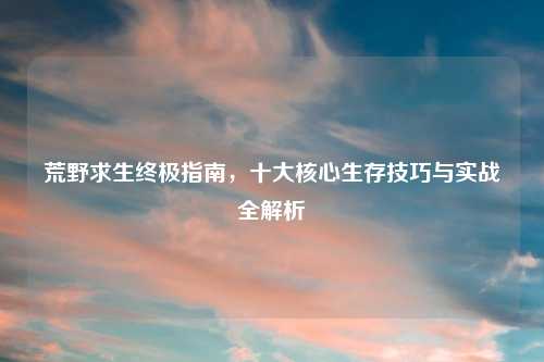 荒野求生终极指南，十大核心生存技巧与实战全解析